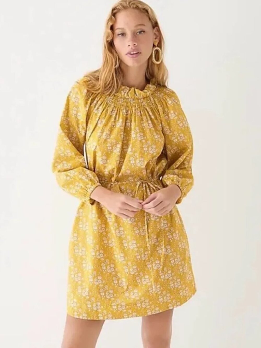 NWT J.Crew Liberty London Ruffle Neck Winona Popover Dress S